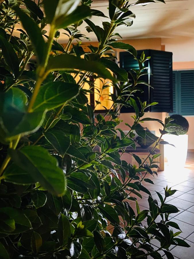 The Loft E&E Open Space 恩波利 外观 照片